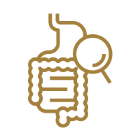 Our-Expertise-Gut-Restoration-Comprehensive-Gut-Assessments