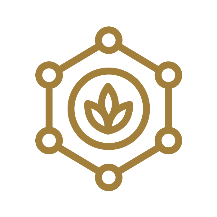 cz-ico1