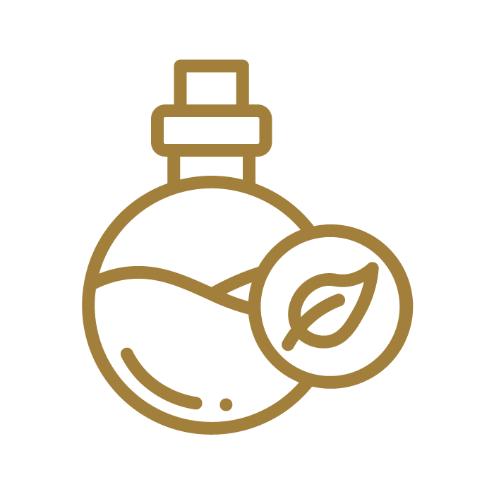 cz-ico2