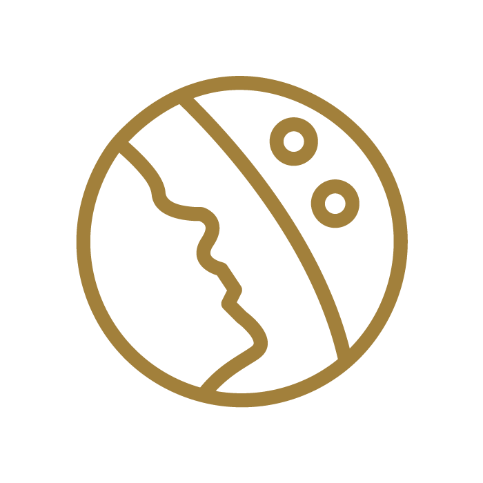 cz-ico3
