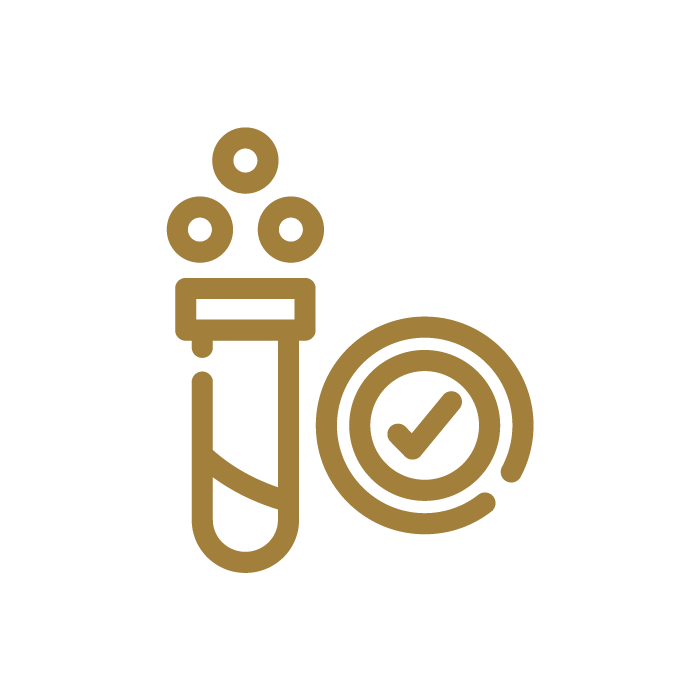 cz-ico4